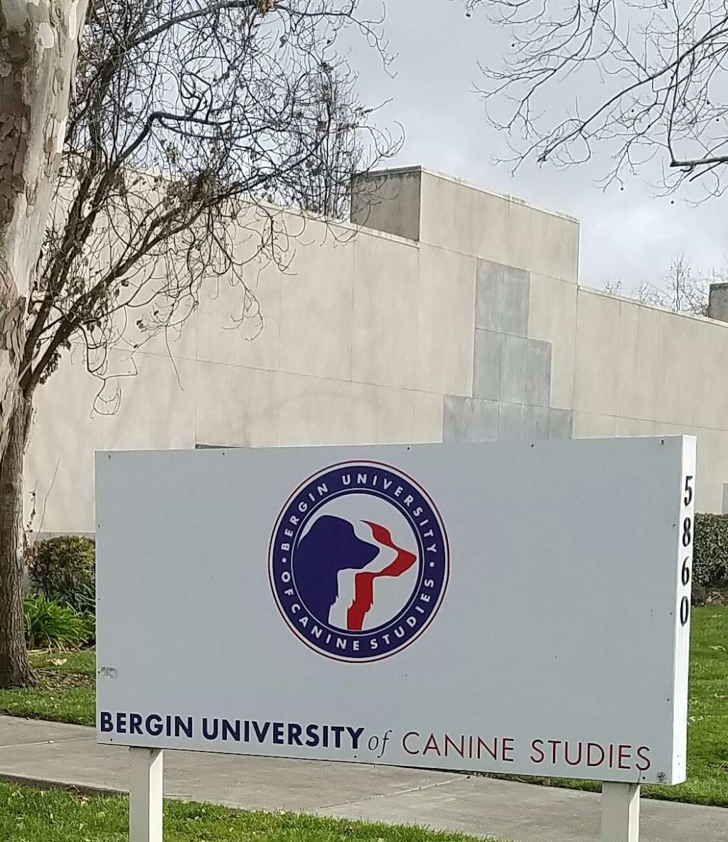 Bergin University of Canine Studies | 5701 Old Redwood Hwy, Penngrove, CA 94951, USA | Phone: (707) 545-3647