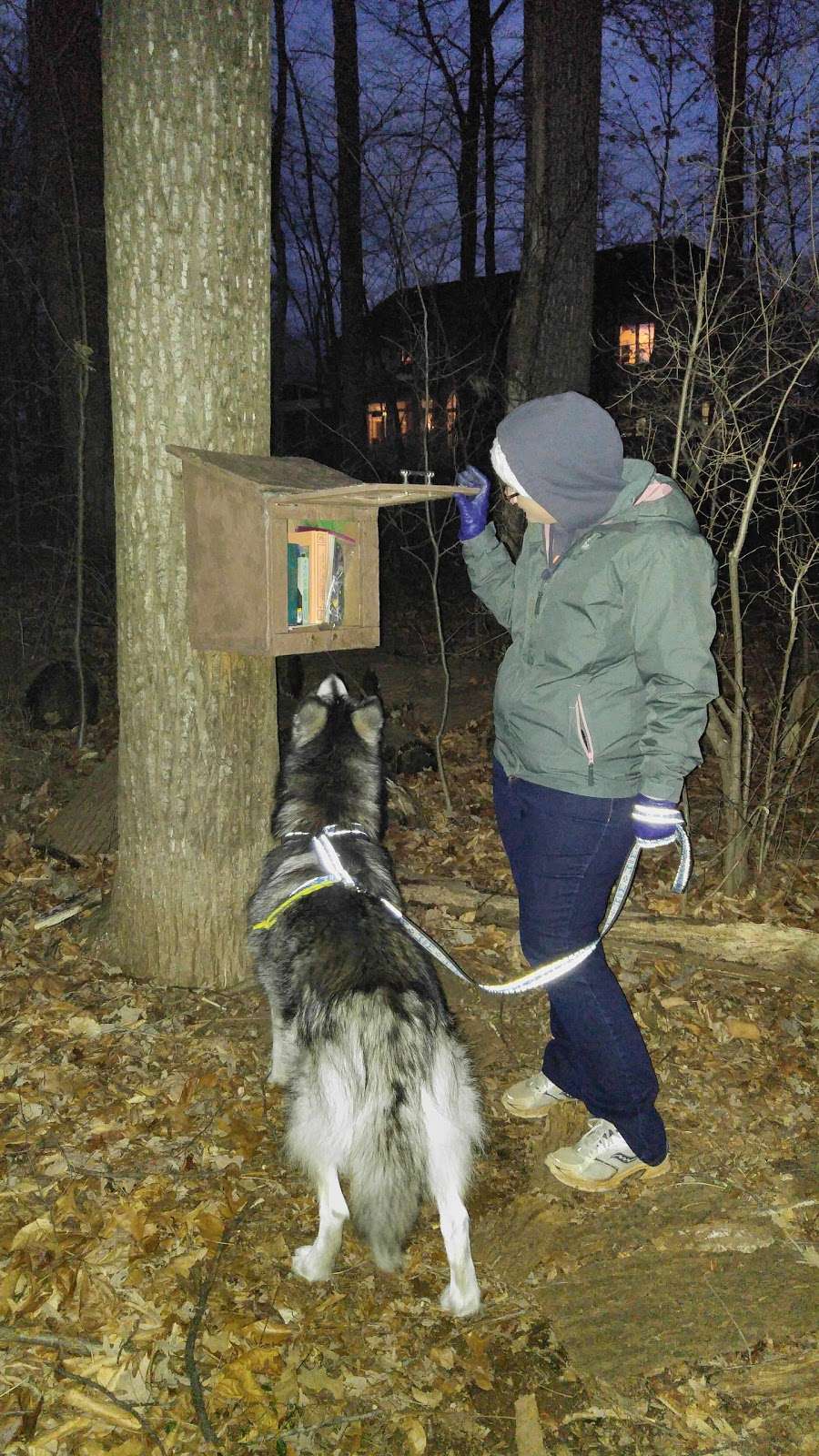 Sugarland Run Trail Lending Library | 111 Avondale Dr, Sterling, VA 20164, USA