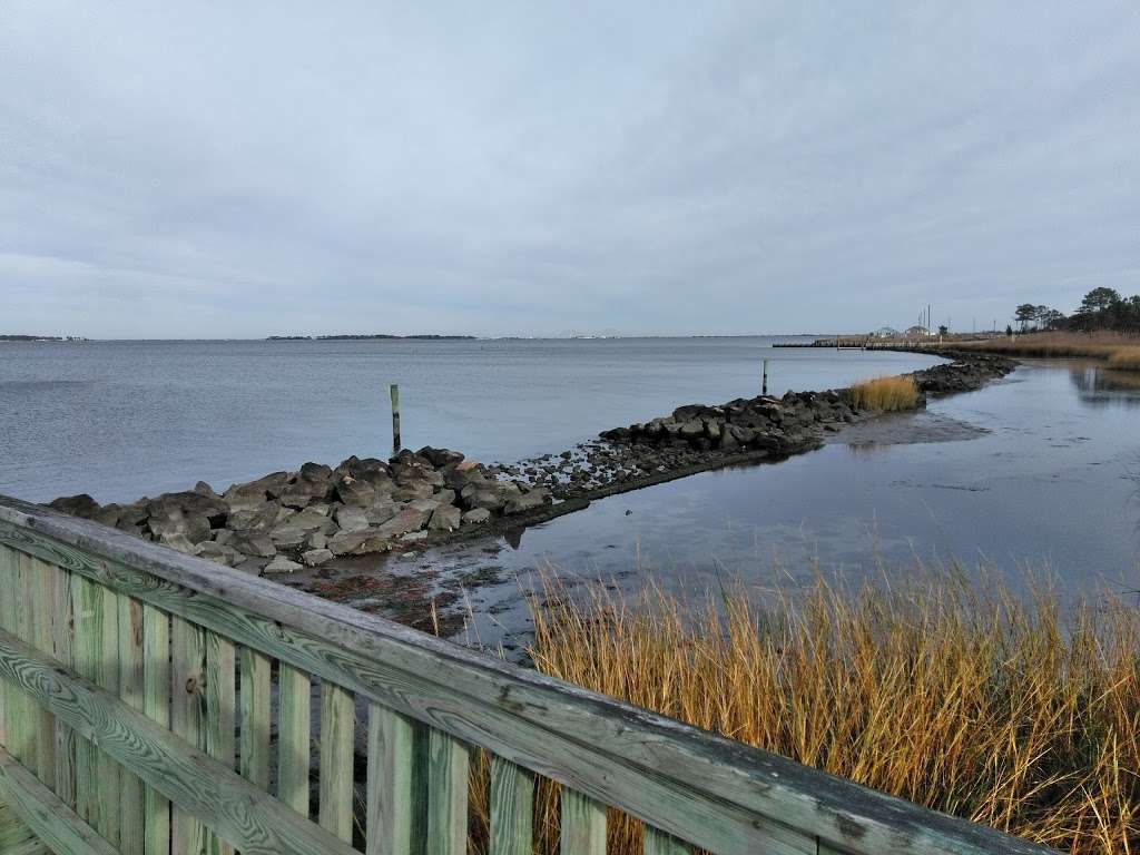 Holts Landing State Park | Holts Landing Road, Park office at 39415 Inlet Rd., Rehoboth Beach, DE, Dagsboro, DE 19939, USA | Phone: (302) 227-2800