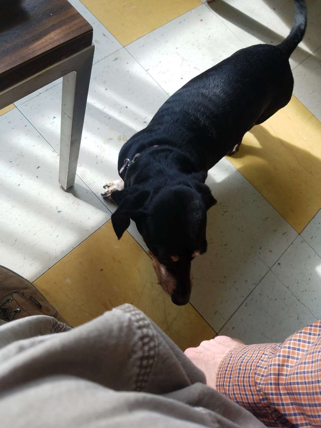 J & W Automotive | 371 Boot Rd, West Chester, PA 19380, USA | Phone: (610) 436-8850