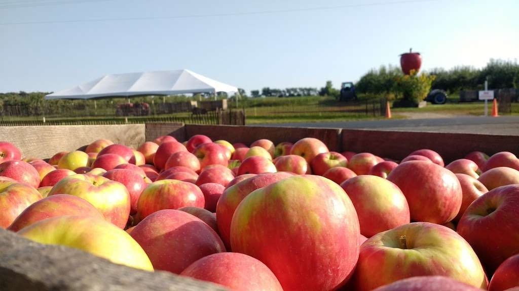 Apple Barn Orchard & Winery | W6384 Sugar Creek Rd, Elkhorn, WI 53121, USA | Phone: (262) 728-3266