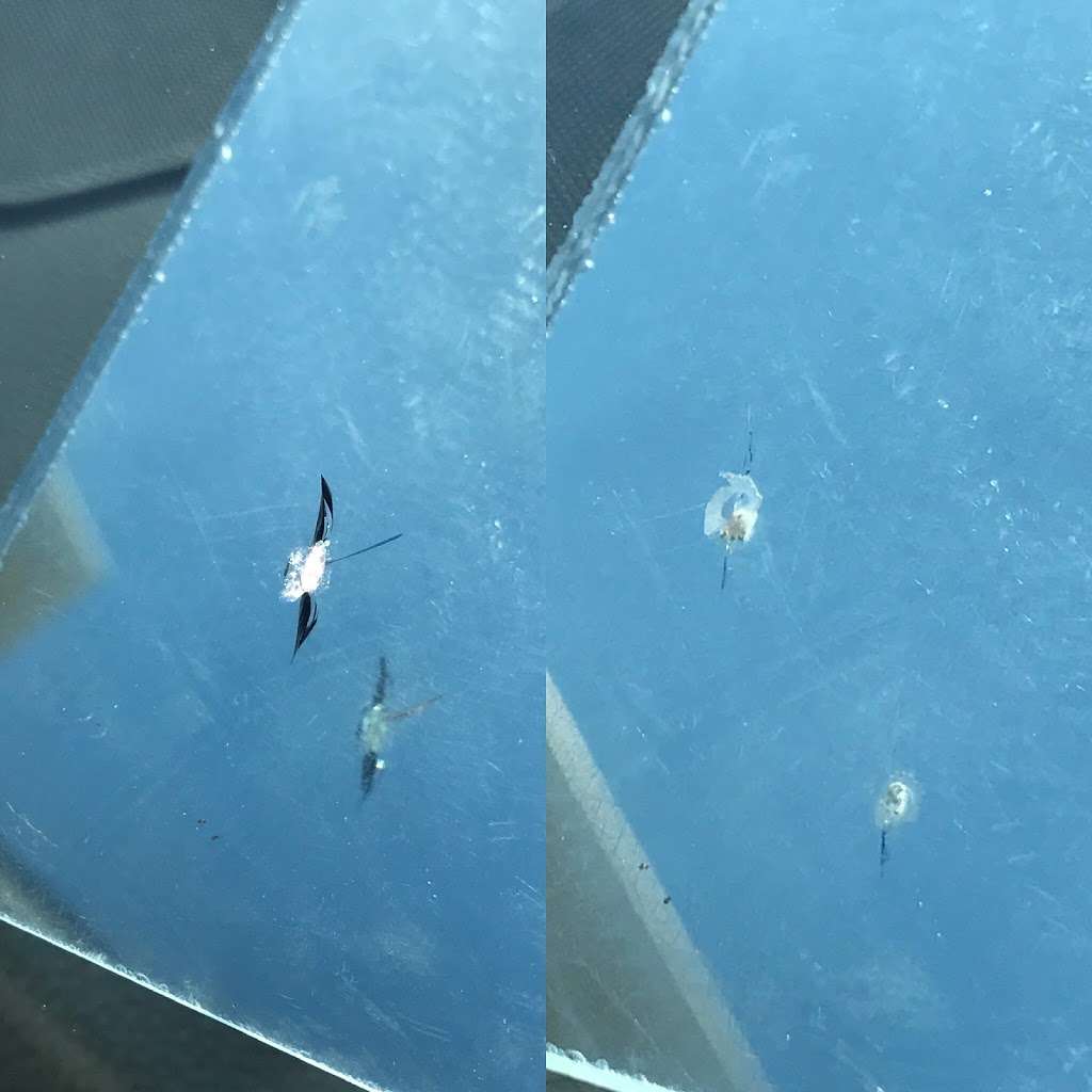 Mobile Windshield Repair KC Rock Chips kansas city windshield re | 142 Clark Ave, Bonner Springs, KS 66012, USA | Phone: (913) 991-2111