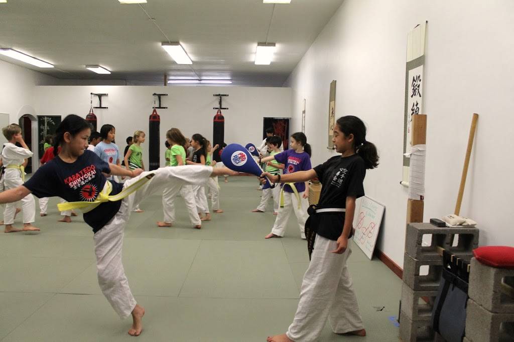 Karatedo Shinyokai | 7512 Fairmount Ave, El Cerrito, CA 94530, USA | Phone: (510) 575-9253