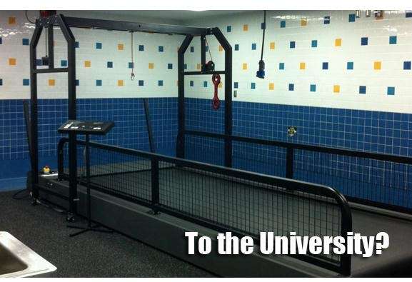 Fitnex Fitness Equipment Inc | 2351 Santa Anna Ave #15, Dallas, TX 75228, USA | Phone: (214) 638-7301