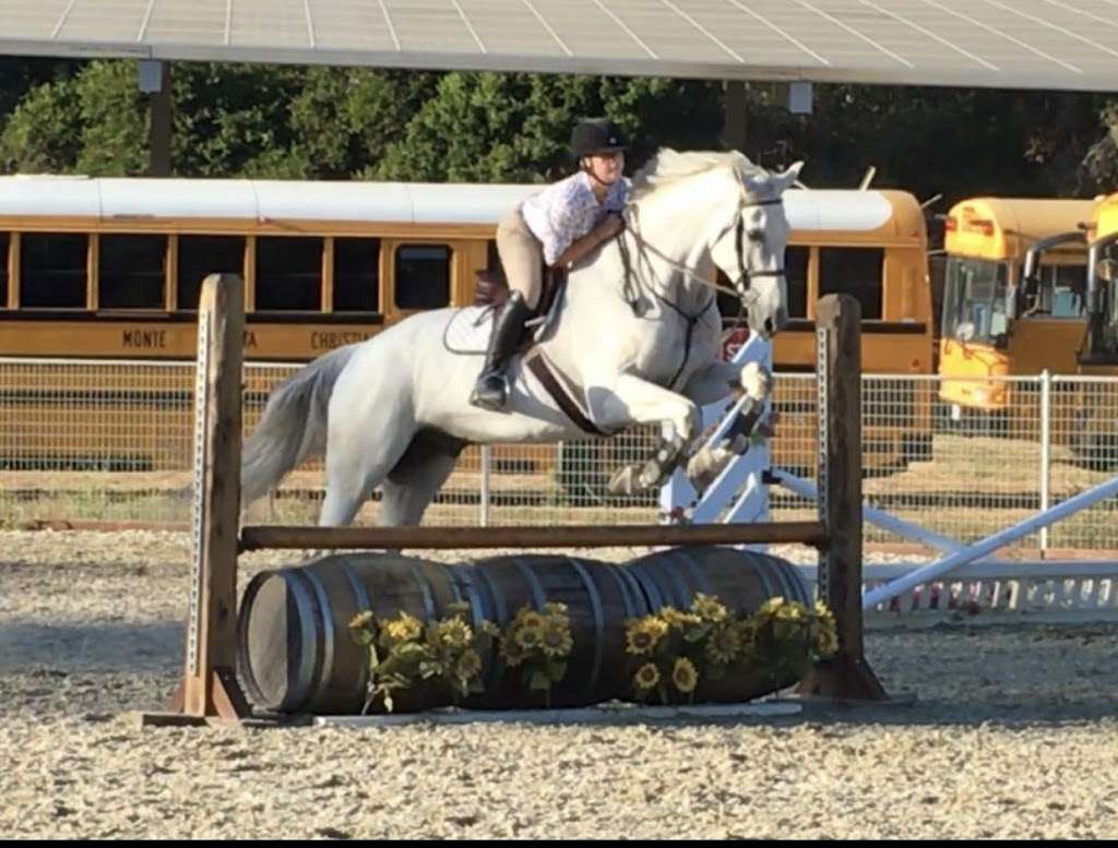 Belmont Training Stable | 2 School Way, Watsonville, CA 95076, USA | Phone: (831) 206-9707