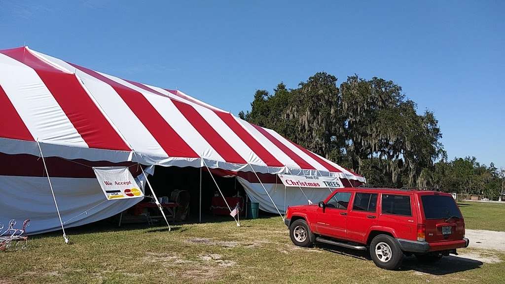 Bgs Christmas tree Farm | hwy 17 and, Georgia St, Bartow, FL 33830, USA | Phone: (863) 800-2874