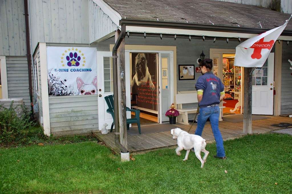 K-Nine Coaching | 79 Olde Lafayette Vlg, Lafayette Township, NJ 07848, USA | Phone: (862) 324-1314