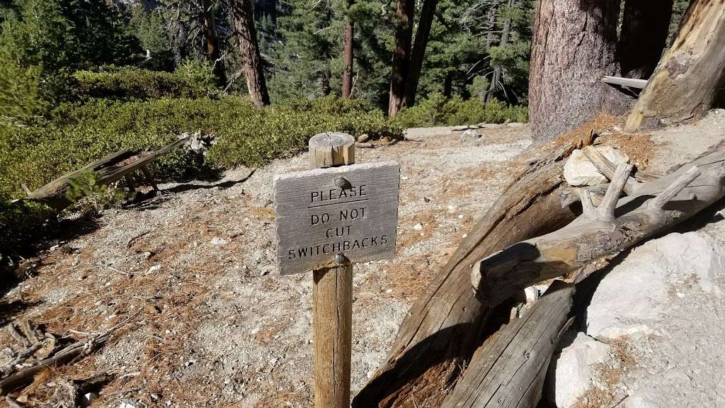 Icehouse Saddle | 34°1422.0"N 117°3548., CA-2, Mt Baldy, CA 91759, USA