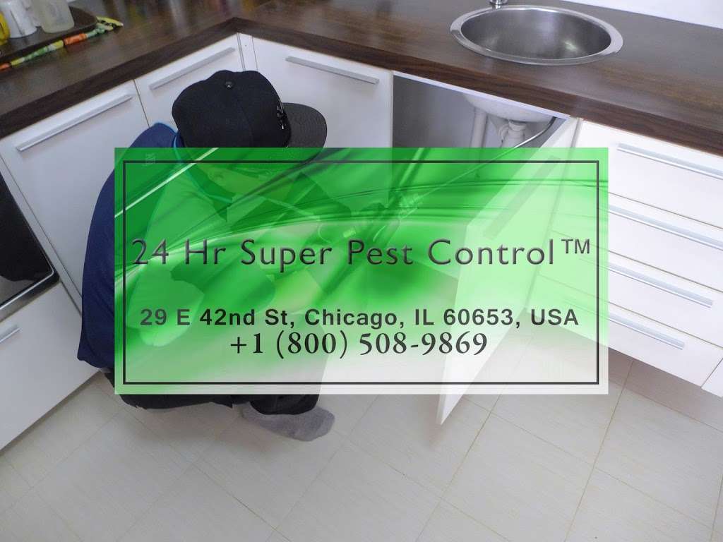 24 Hr Super Pest Control | 29 E 42nd St, Chicago, IL 60653, USA | Phone: (800) 508-9869