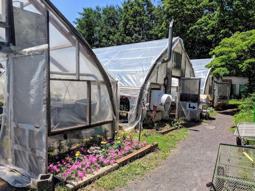 Windmill Heights Garden Center | 1901 Broad St, Culpeper, VA 22701, USA | Phone: (540) 825-2059