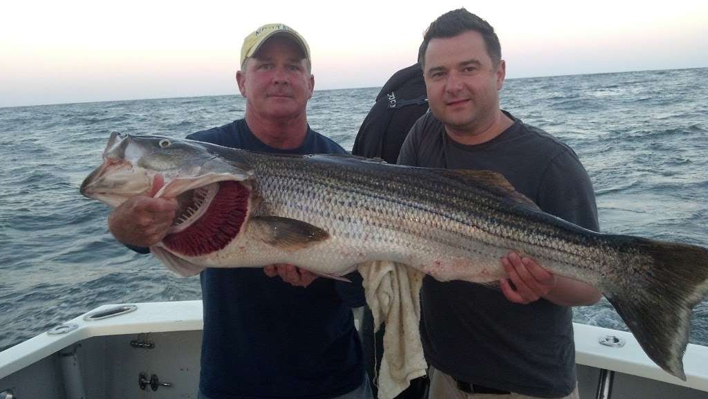 Codfather Fishing Charters | 447 Woodcleft Ave, Freeport, NY 11520 | Phone: (516) 868-9073