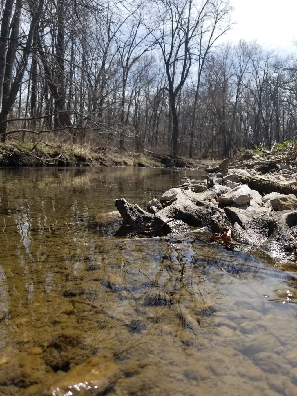 Jay Woods Forest Preserve | 857 Creek Rd, Plano, IL 60545, USA