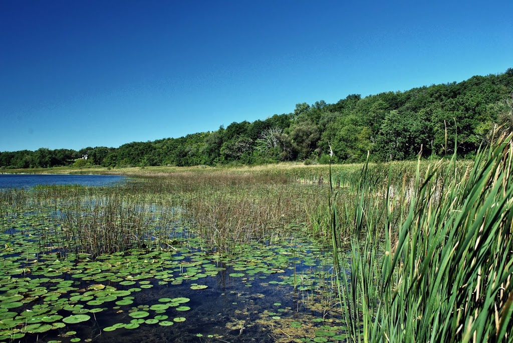 Pickerel Lake Fen State Natural Area | 101 S Webster St, Madison, WI 53703, USA | Phone: (608) 266-2621