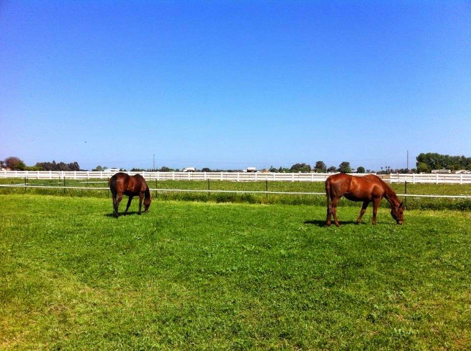 Brentwood Equestrian Center | 2300 Cumming Rd, Brentwood, CA 94513, USA | Phone: (925) 595-4030