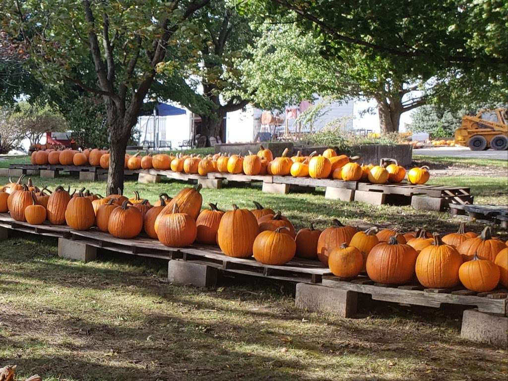 Bountiful Blessings Farm Produce | 15565 McGirr Rd, Hinckley, IL 60520 | Phone: (320) 217-9253