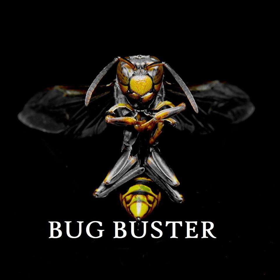 Bug Buster London | 7 Parkstone Rd, Walthamstow, London E17 3JA, UK | Phone: 07921 086929