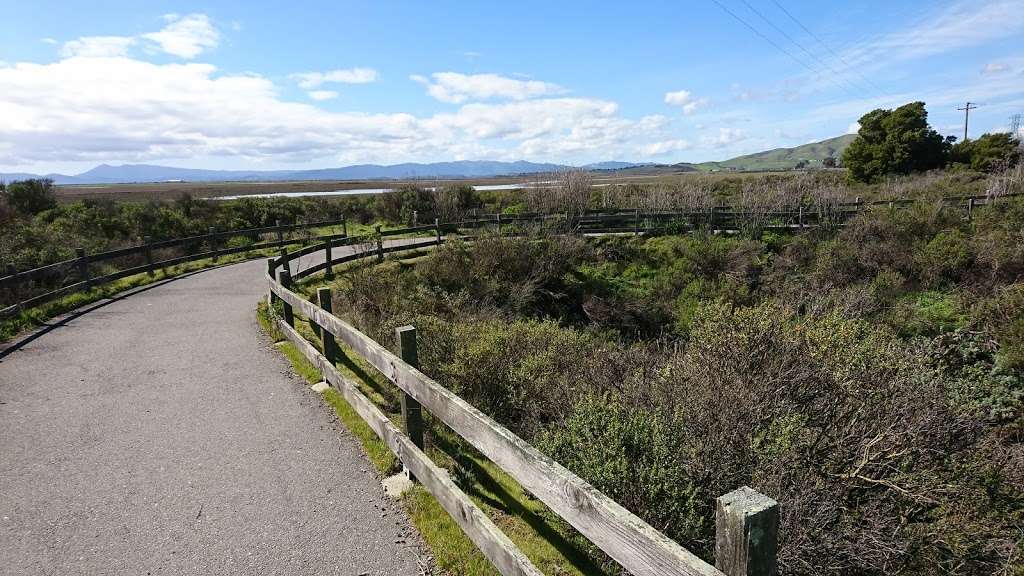 wildlife viewing | 5000 Sears Point Rd, Sonoma, CA 95476, USA