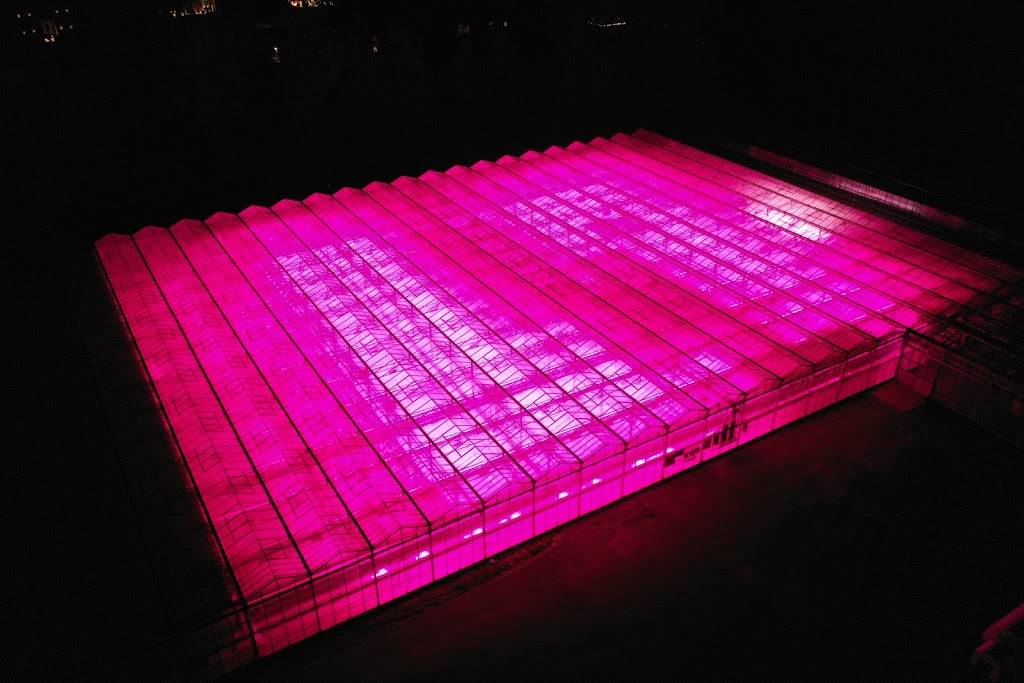 Wheatfield Gardens | 7341 Shawnee Rd, North Tonawanda, NY 14120, USA | Phone: (716) 694-0085 Wheatfield Gardens | 7341 Shawnee Rd, North Tonawanda, NY 14120, USA | Phone: (716) 694-0085