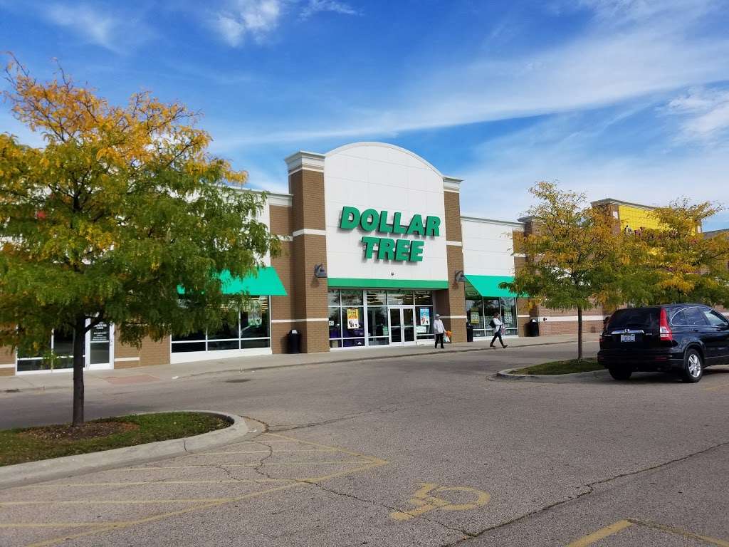 Dollar Tree | 617 S Randall Rd, Elgin, IL 60123, USA | Phone: (847) 488-0122