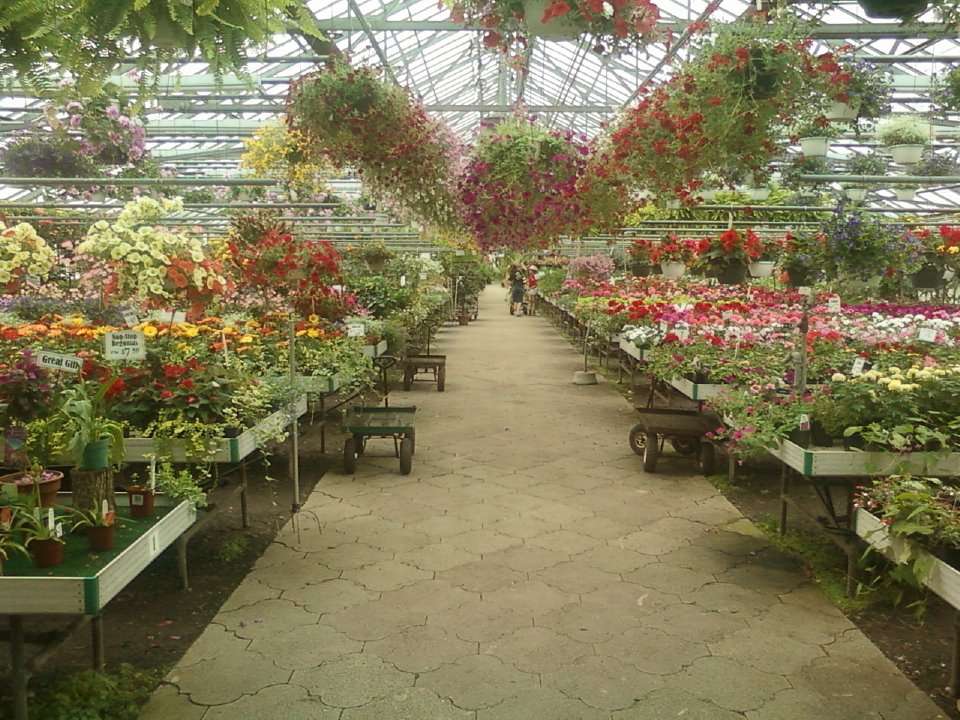 Otts Wholesale Greenhouse Inc | 943 Gravel Pike, Schwenksville, PA 19473 | Phone: (610) 287-8144