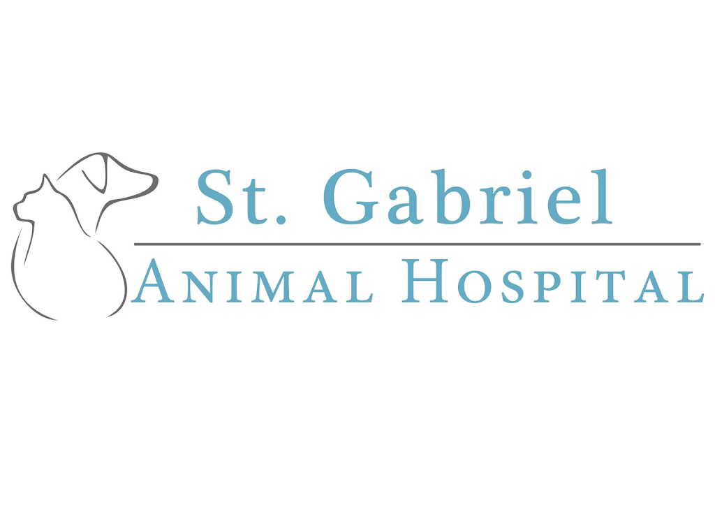 St. Gabriel Animal Hospital | 353 E Hwy 30, St Gabriel, LA 70776, USA | Phone: (225) 319-7444