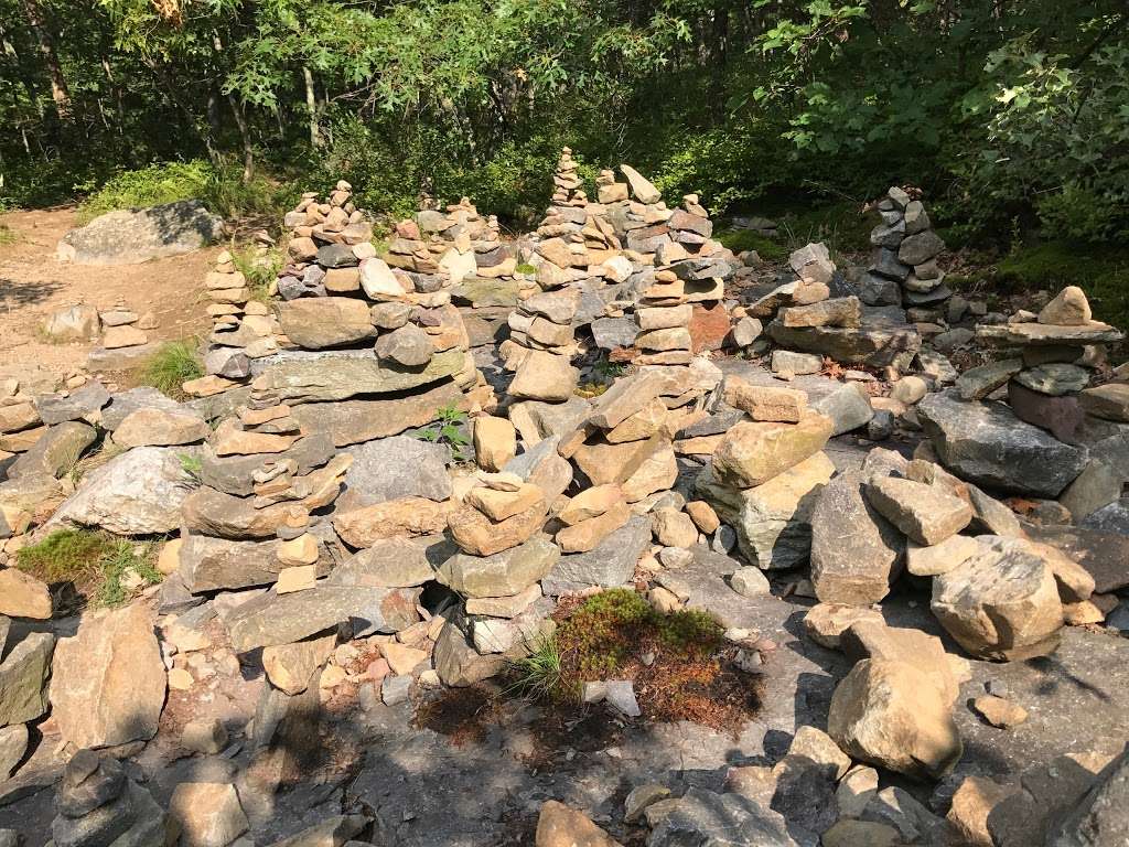 Sunfish Pond hike | Columbia, NJ 07832, USA