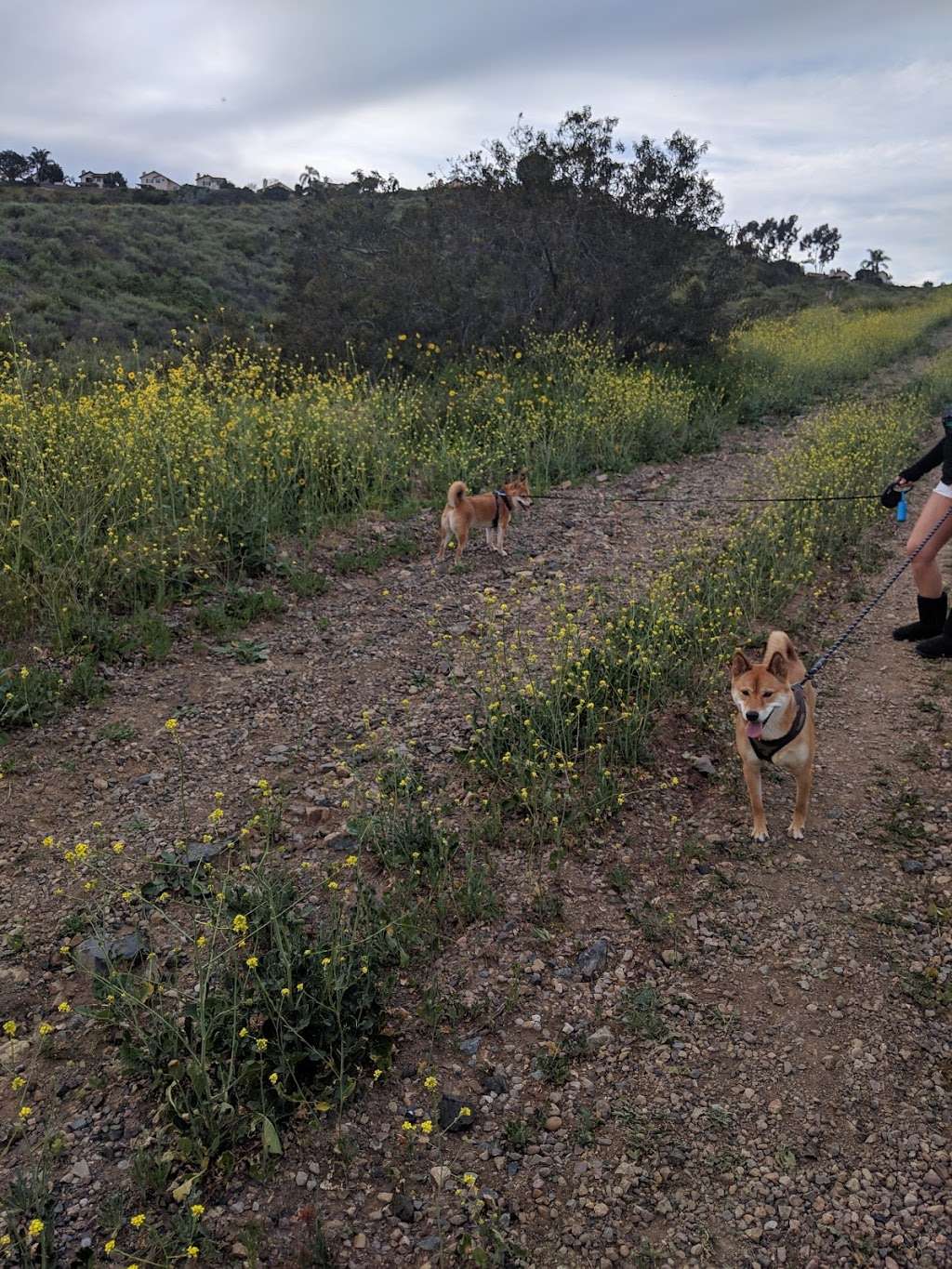 Utility trailhead (north) | 12375 Via Cabezon, San Diego, CA 92129