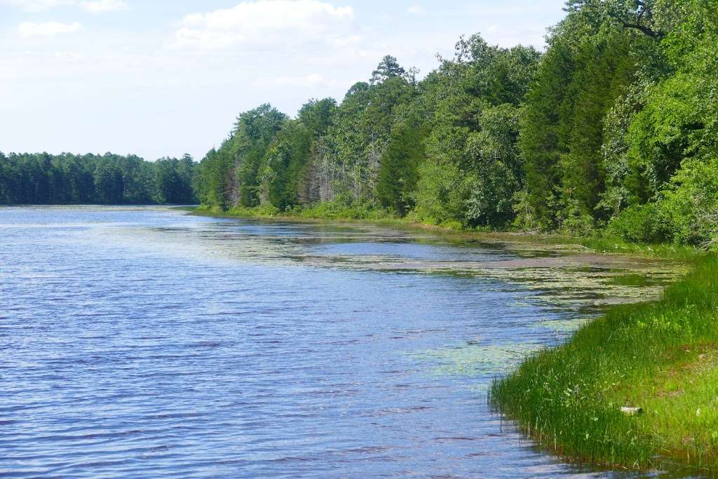 Batsto River | Washington Turnpike, Hammonton, NJ 08037, USA