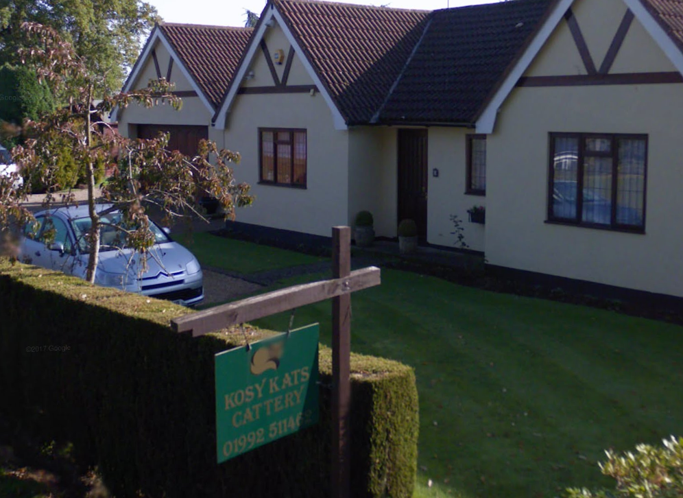 Kosy Kats Cattery | 40 Brickendon La, Brickendon, Hertford SG13 8NU, UK | Phone: 01992 511462