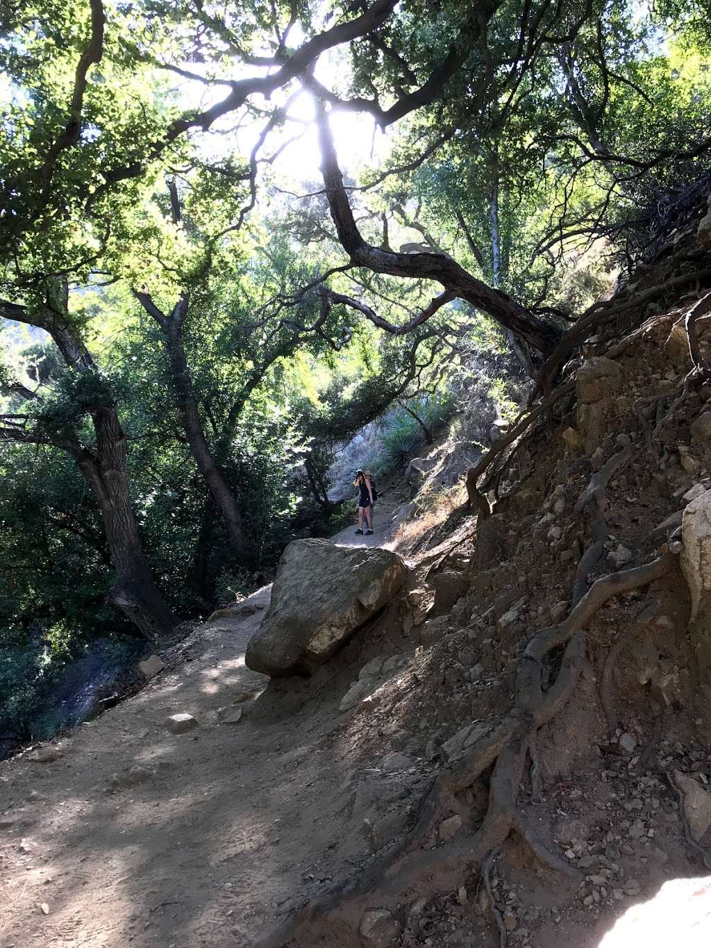 Hermit Falls Trail | Forest Rte 2N40, Arcadia, CA 91006