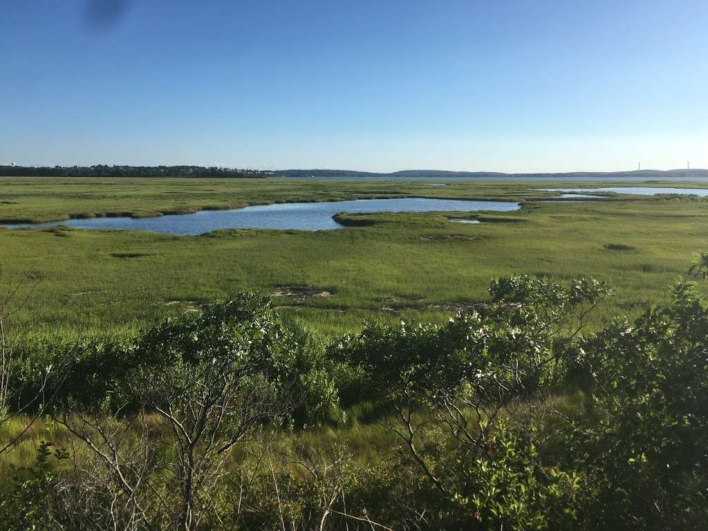 Pines Trail | Parker River National Wildlife Refuge, Rowley, MA 01969, USA | Phone: (978) 465-5753