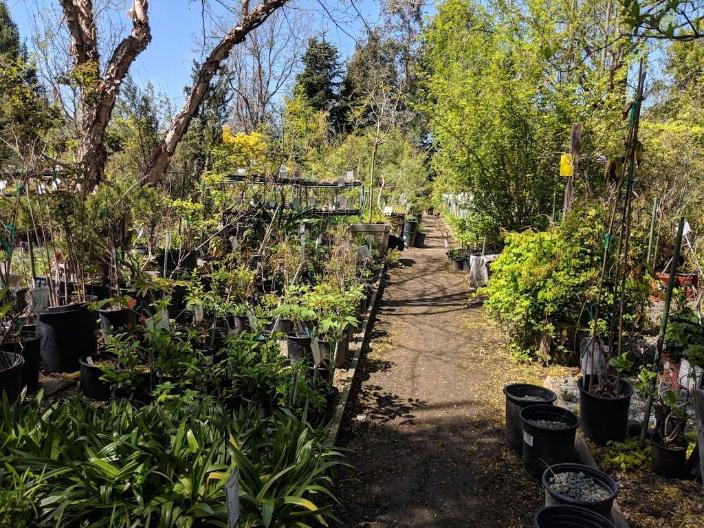 Moraga Garden Center | 1400 Moraga Rd, Moraga, CA 94556 | Phone: (925) 376-1810