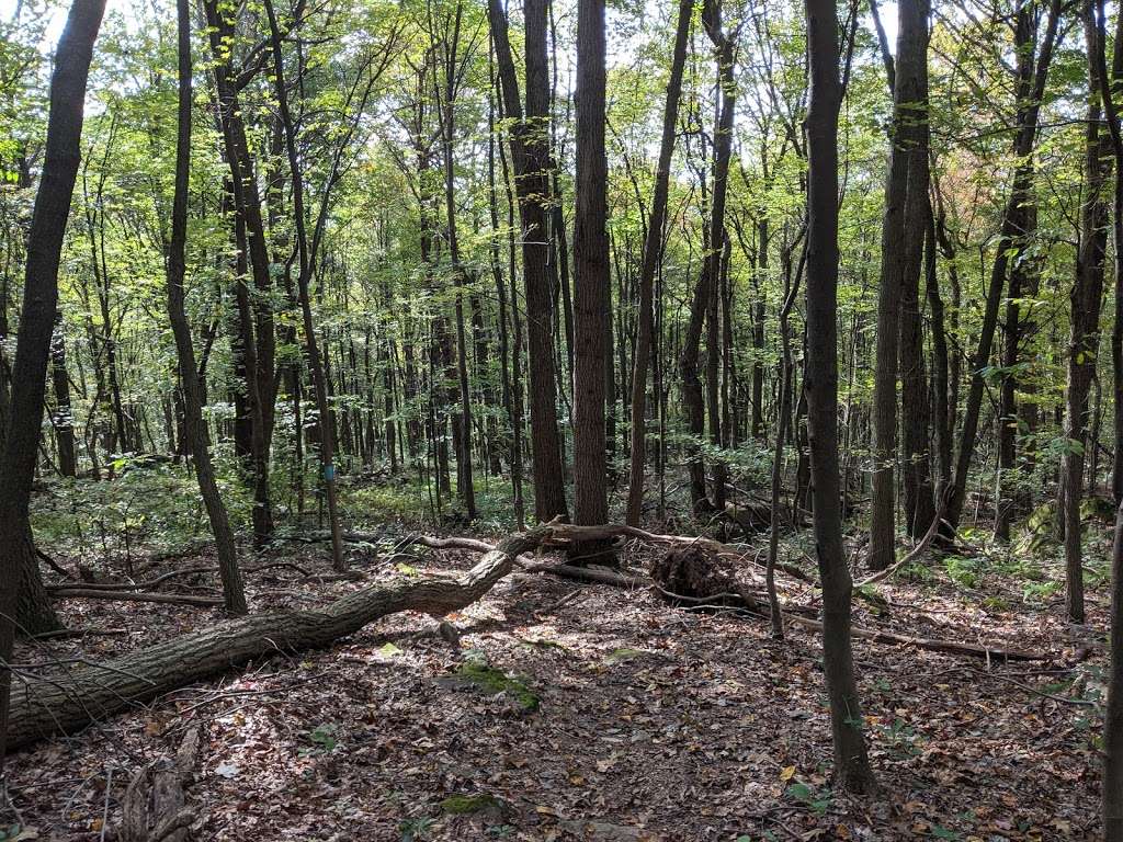 Rannels-Kettle Run Nature Preserve | Lititz, PA 17543, USA | Phone: (717) 669-5990