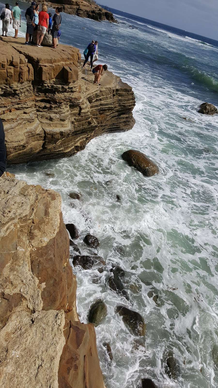 Point Loma Tide Pools | 1800 Cabrillo Memorial Dr, San Diego, CA 92106, USA | Phone: (619) 557-5450