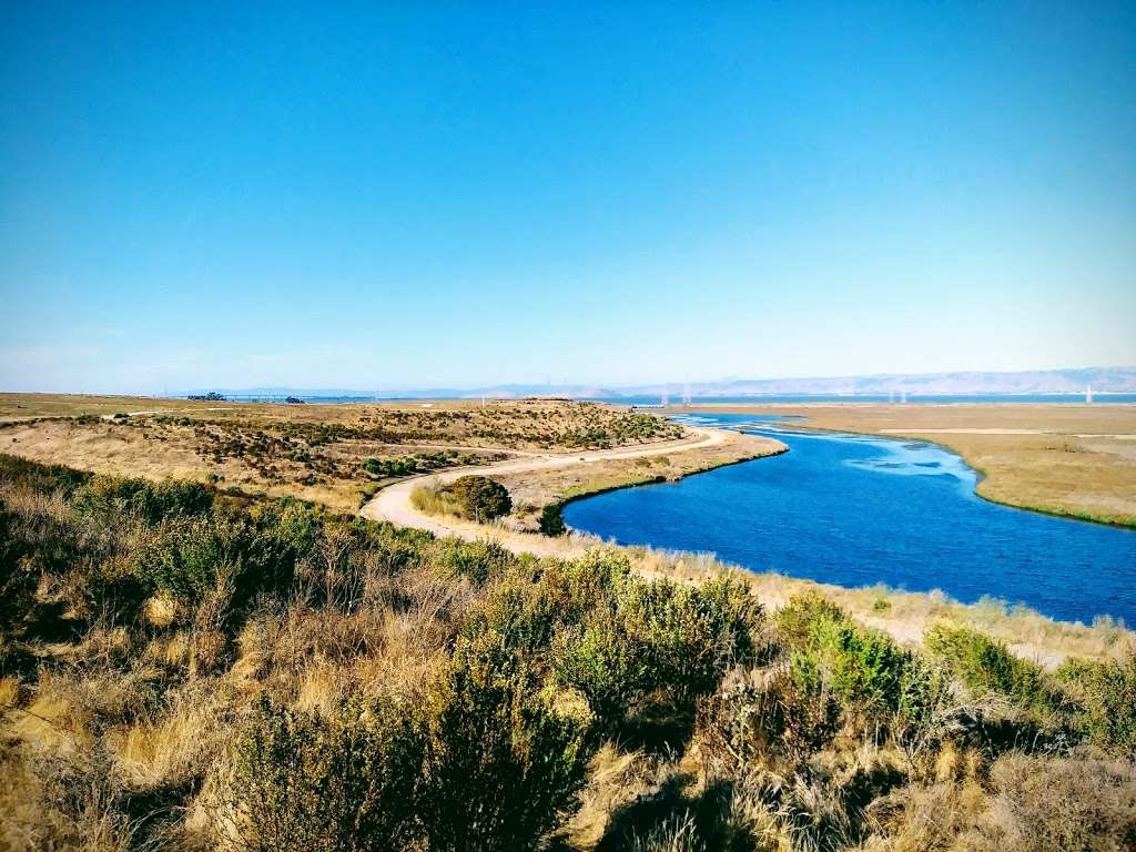 Adobe Creek Loop Trail Head | Adobe Creek Loop Trail, Palo Alto, CA 94303, USA