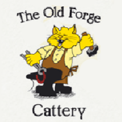 The Old Forge Cattery | Claygate Rd, Maidstone ME18 6BJ, UK | Phone: 01622 871330