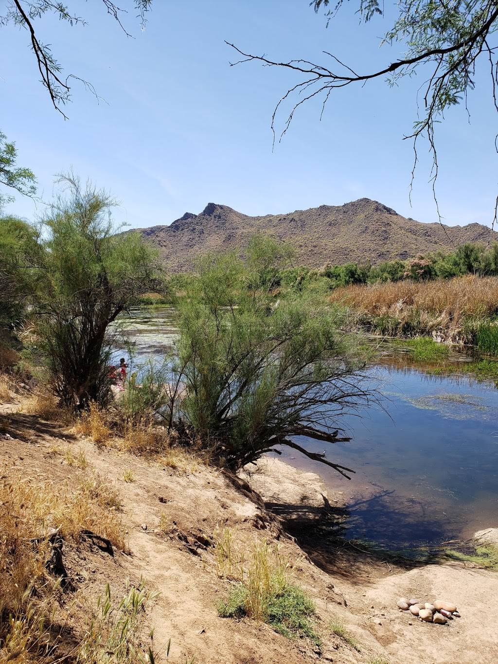 Phon D Sutton Recreation Area | Fort McDowell, AZ 85264 | Phone: (480) 610-3300