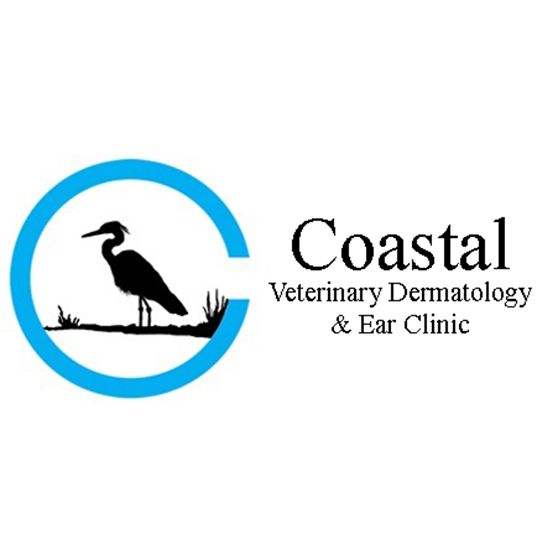 Coastal Veterinary Dermatology & Ear Clinic | 11320 Space Center Blvd #200, Houston, TX 77059, USA | Phone: (832) 781-8545