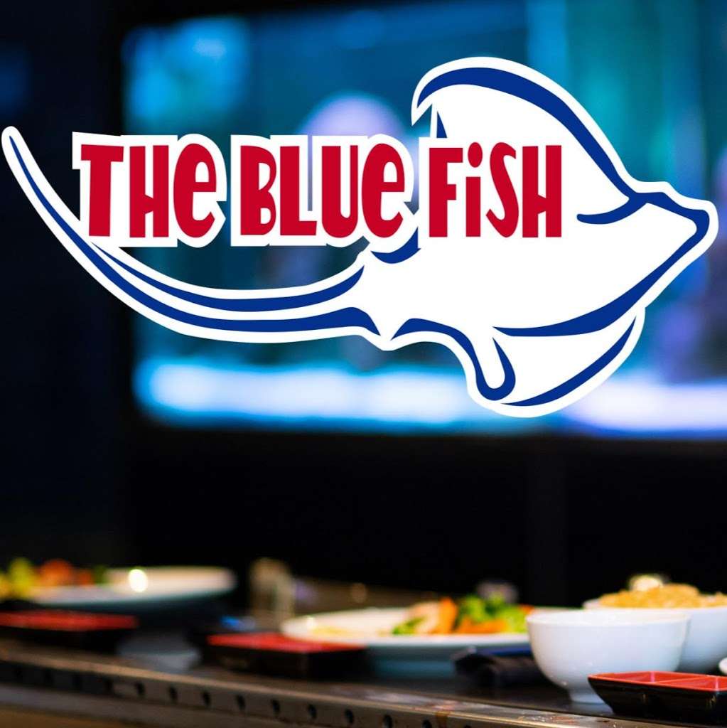 The Blue Fish | 5820 Washington Ave, Houston, TX 77007, USA | Phone: (713) 862-3474