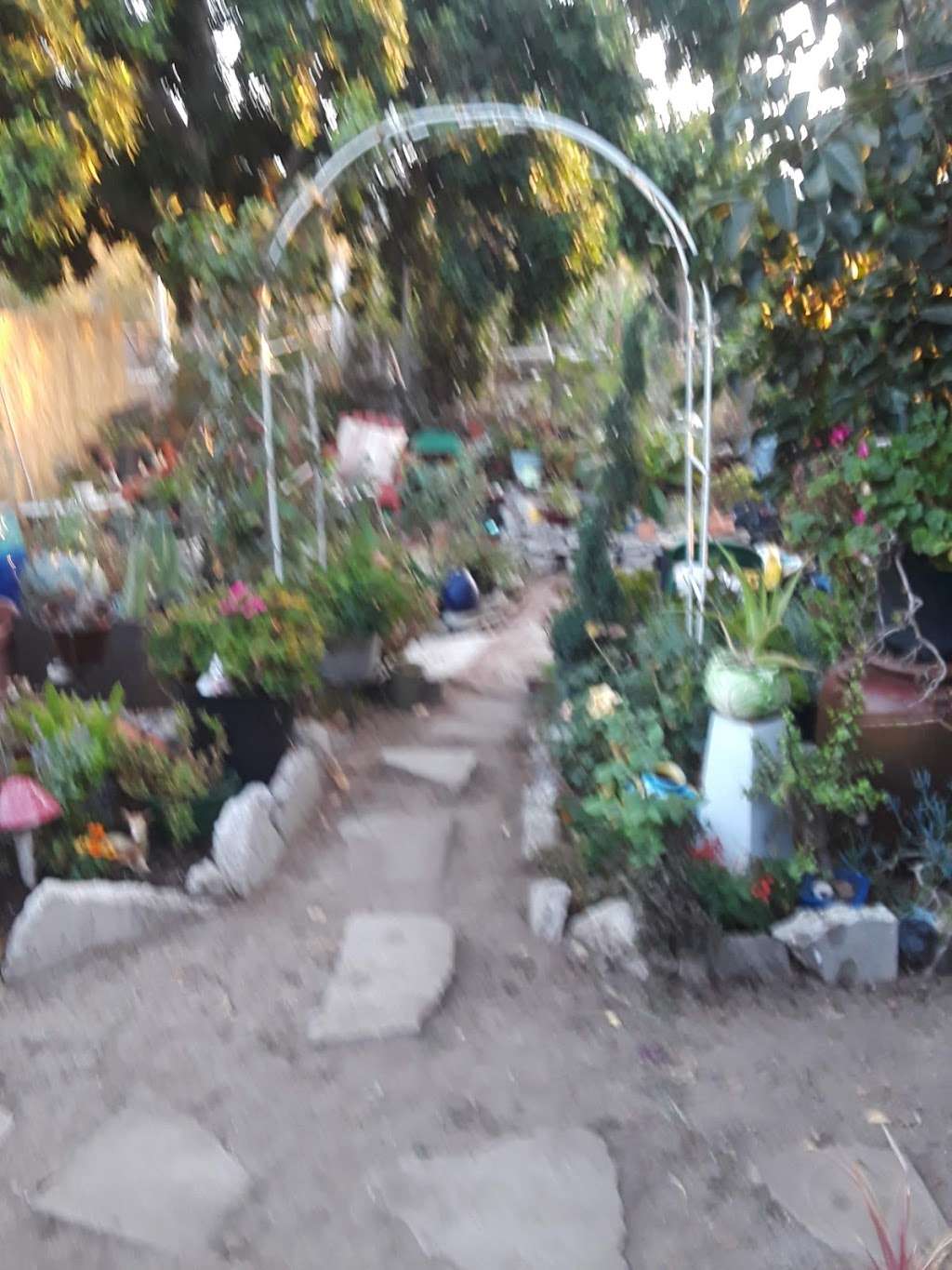 Gaffey Street Community Gardens | 1400 N Gaffey St, San Pedro, CA 90731