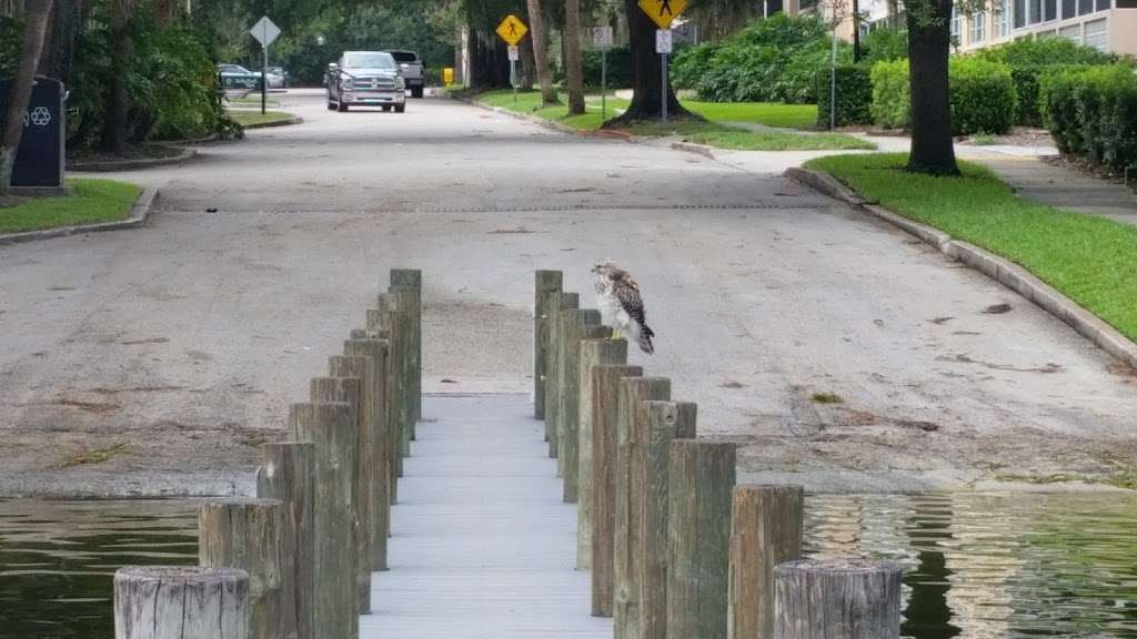 Dinky Dock, Lake Virginia | Winter Park, FL 32789 | Phone: (407) 599-3397