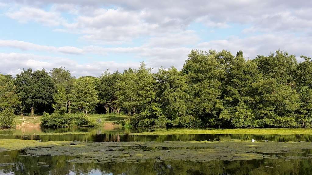 Highams Park Lake | Woodford Green IG8 9RF, UK