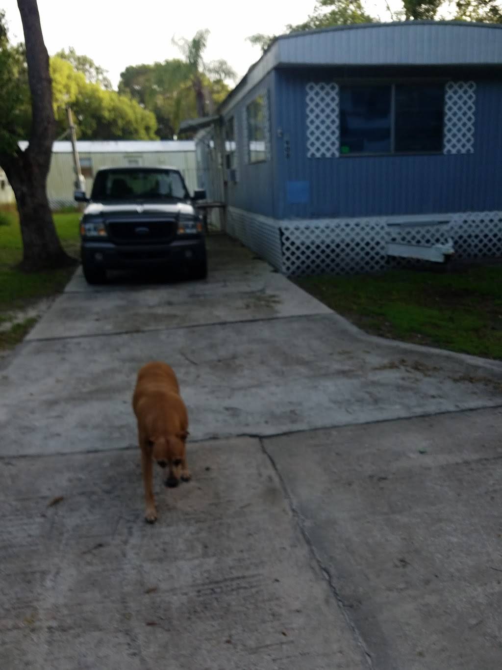 Sherwood Mobile Home Park | 9915 E Ellicott St, Tampa, FL 33610, USA | Phone: (813) 347-6598