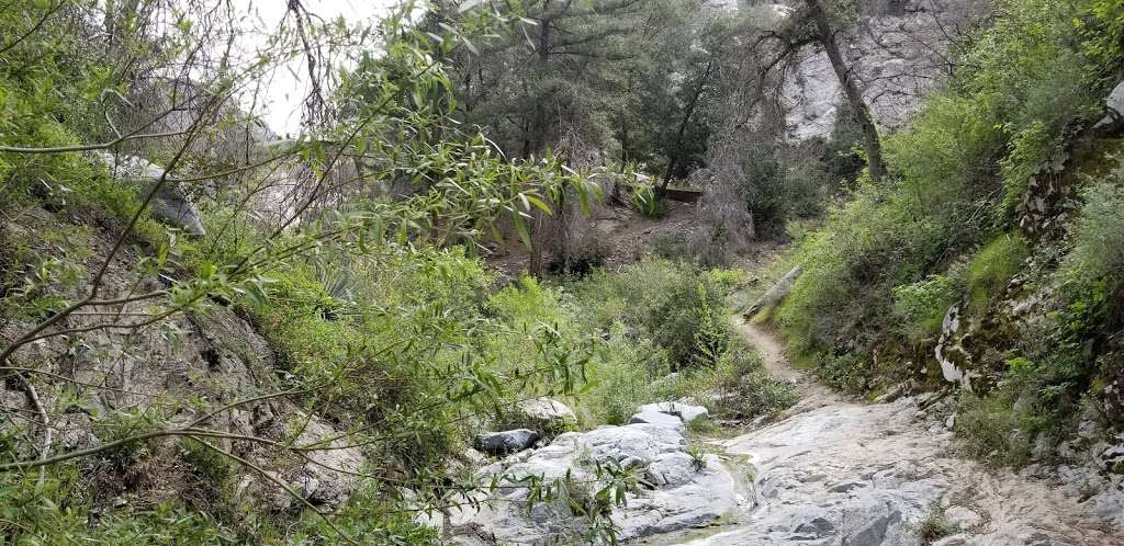 Colby Canyon Trailhead | 701 Angeles Crest Hwy, Tujunga, CA 91042, USA