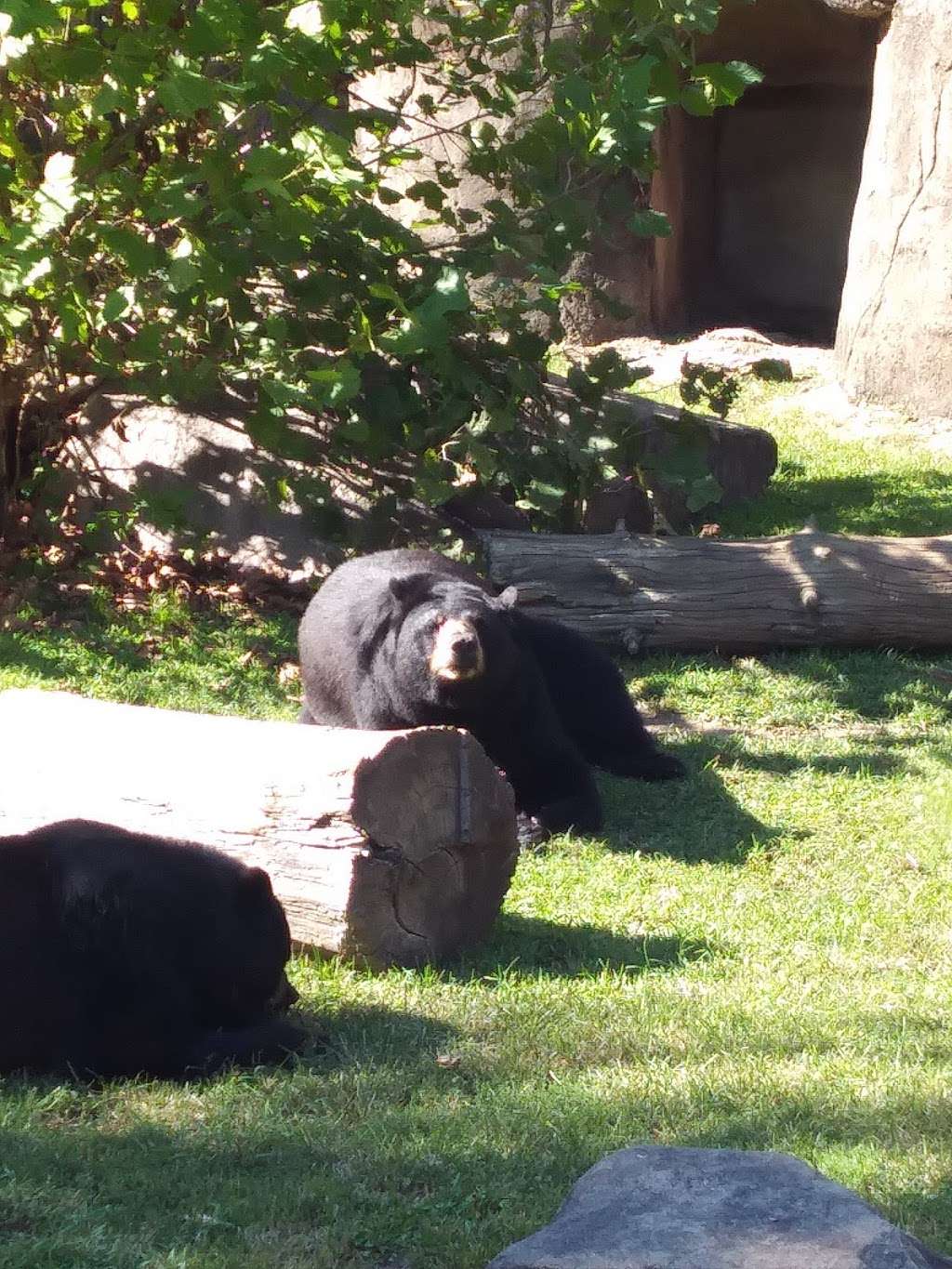 Nature Center | Seth Murdoch Rd, Salisbury, NC 28146, USA Nature Center | Seth Murdoch Rd, Salisbury, NC 28146, USA