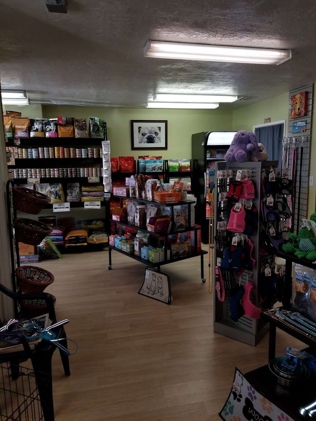 Sailor & Friends Pet Supply | 142 N Ashwood Ave, Ventura, CA 93003 | Phone: (805) 642-8555