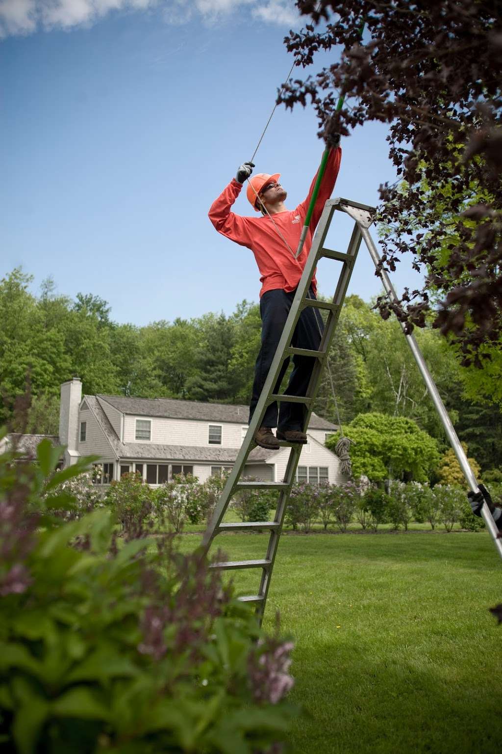 SavATree - Tree Service & Lawn Care | 4104 Sable Ave, Firestone, CO 80504 | Phone: (720) 204-1846