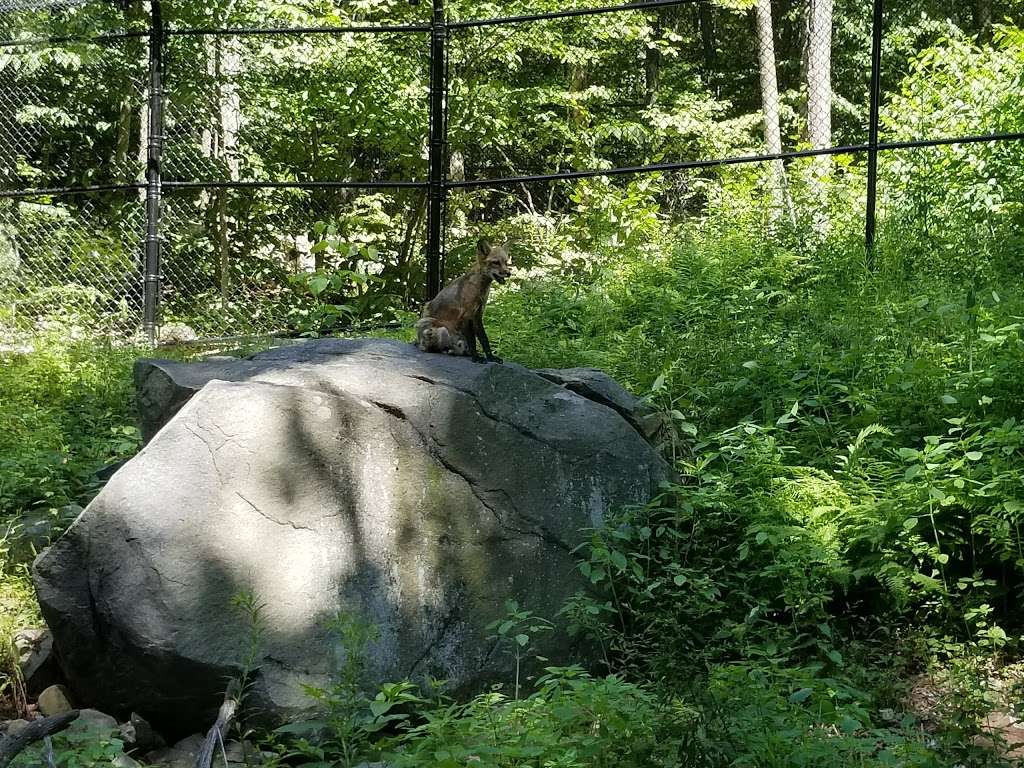 Blue Hills Trailside Museum | 1904 Canton Ave, Milton, MA 02186 | Phone: (617) 333-0690