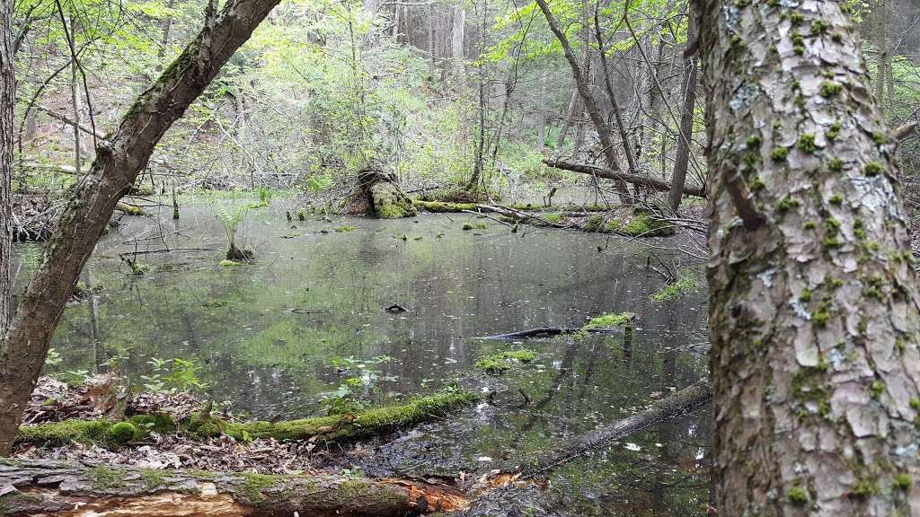 John C. Phillips Wildlife Sanctuary | Boxford, MA 01921, USA