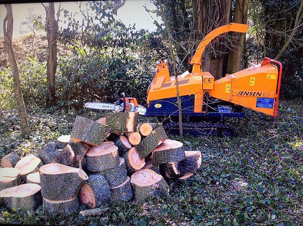 Stump remover | 40 Coronation Rd, East Grinstead RH19 4AL, UK | Phone: 07714 728044